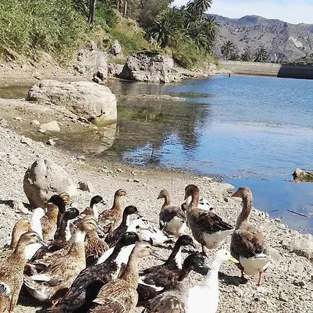 La Presa